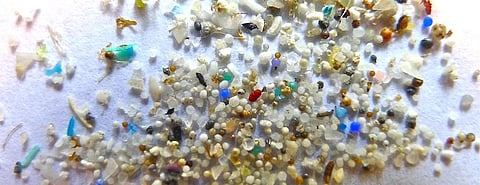 Maldives beaches have the most microplastics: Study