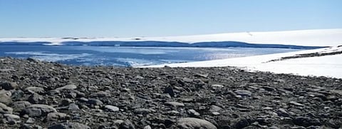 Robinson Ridge in the Windmill Islands, east Antarctica. This is the site where UNSW researchers first discovered air-eating bacteria. Photo: Belinda Ferrari / UNSW