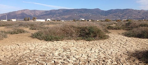 Flash droughts hit nearly 15% rice, maize areas in 1951-2018 monsoons: Study