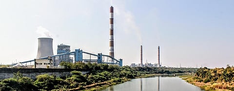 Presence of mercury in birds near thermal power plants in Maharashtra paves way for modern analysis