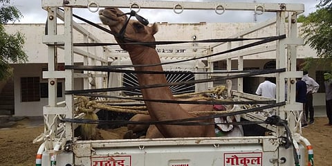 फोटो: उरमूल ट्रस्ट