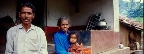 Adivasis account for 13% of total convicts, 10% of total under-trials, shows data