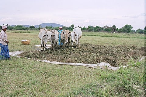 Indian states step up natural farming adoption