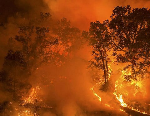 Climate crisis continues unabated: United in science, but are we united in action?