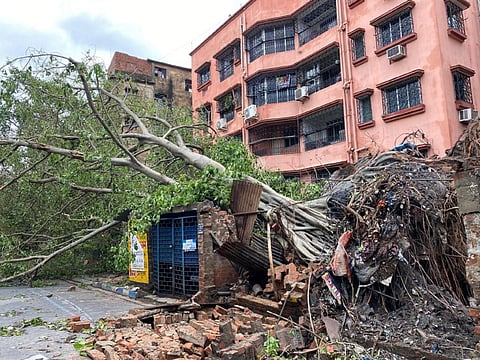 Trees uprooted by Amphan, as seen in Kolkata. The cyclone caused damage amounting to $13 billion in West Bengal alone. Photo: Avantika Goswami