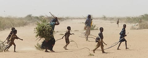 Climate Migration primarily in middle income, agri-dependent countries: Study