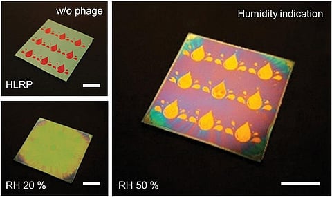 Photo : Advanced Science