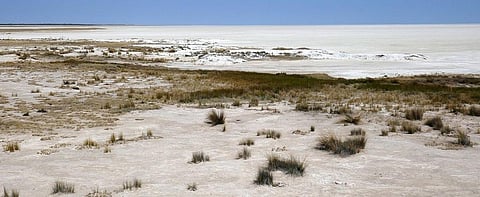 NASA images capture wet and dry cycles in Namibia’s Etosha Pan