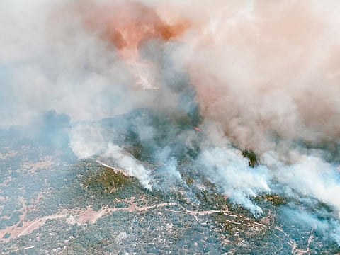 California wildfires: NASA captures vast plumes of carbon monoxide