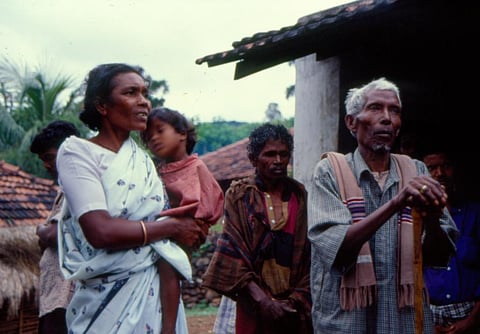 Subsistence livelihoods by Adivasis are not subject to the same kind of cost-benefit calculations made for communities that are part of a consumerist, cash-based economy. Photo: Preeti Singh