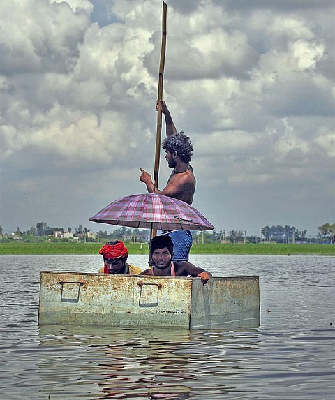 Raota village, on the Delhi-Haryana border is inundated with stagnant wastewater overflowing from the Najafgarh drain, which separates the
two states (Photograph: Vikas Choudhary)