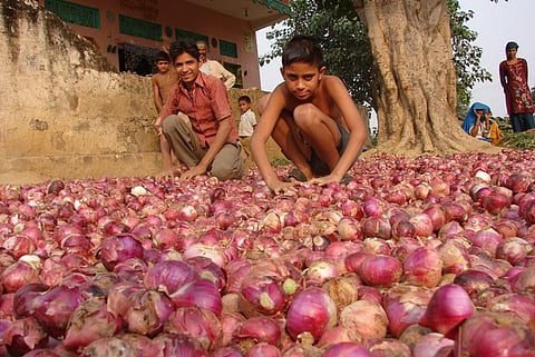 फाइल फोटो: कुमार संभव श्रीवास्तव/सीएसई
