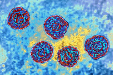 A researcher reflects on progress fighting hepatitis C — and a path forward