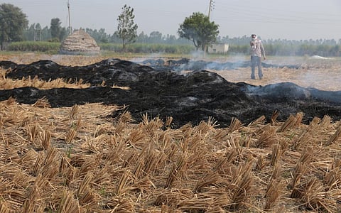 Counting north India’s stubble fires: Stronger data science needed to study winter smog