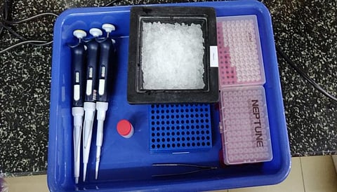 Tray containing the essential apparatus to conduct the tests