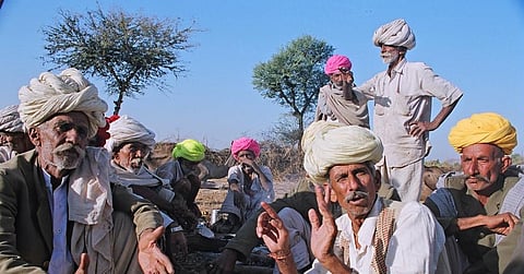Rajasthan camel breeders threaten to leave animals with district collectors