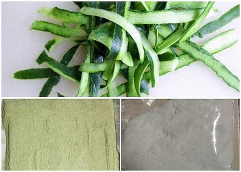 Cool packaging: IIT Kharagpur has a new use for cucumber peels
