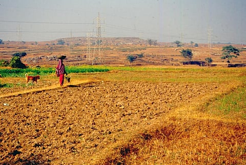 Climate resilient agriculture systems: The way ahead