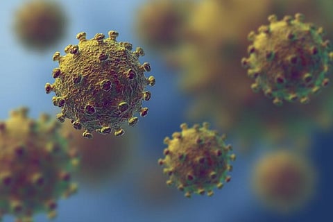 Coronavirus mutation is not as scary as it sounds
