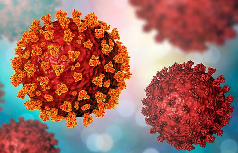 Coronavirus new variant: Genomics researcher answers key questions