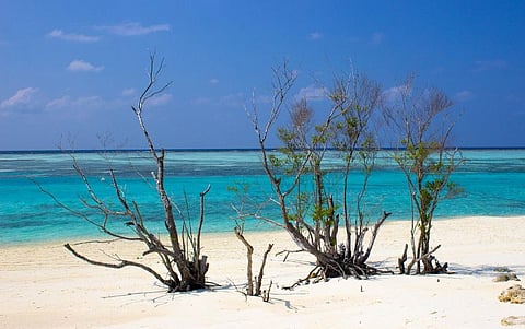 World to breach 1.5°C threshold by 2027-2042: Study