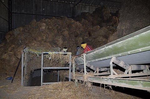 Compressed biogas plant of Sampurn Agri Ventures, located in Fazilka, Punjab, runs entirely on paddy straw (Photograph courtesy: Sampurn Agri Ventures pvt ltd)
