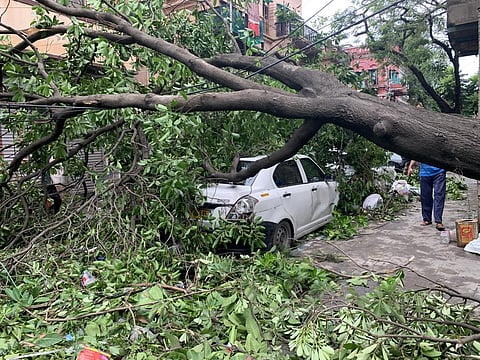 UP, Bihar hit hardest by adverse weather in 2020