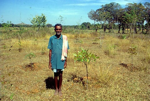 Why India needs climate resilient agriculture systems