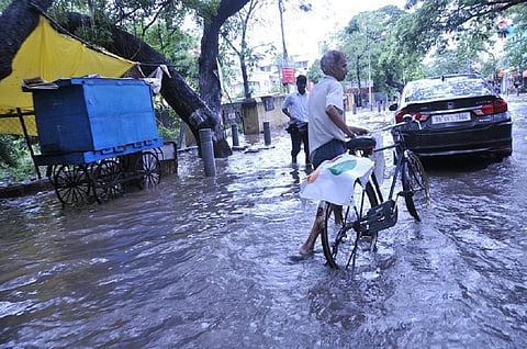 Did stratospheric warming lead to excessive rainfall in Tamil Nadu?