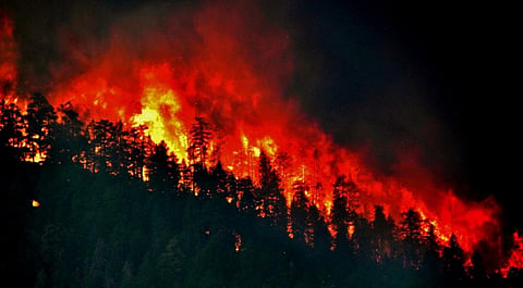 Anthropogenic emissions cause distinct regional impacts on extreme fire weather: Study