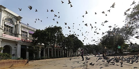 Photo: Vikas Choudhary / CSE