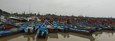 Odisha fishing sector hopeful with Union Budget 2021-22 allocation for Paradip