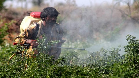 Credit: InStem