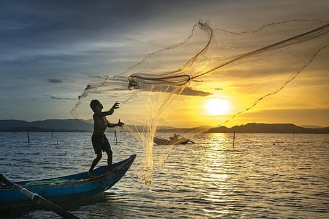 FAO calls for sustainable aquaculture, end to illegal fishing