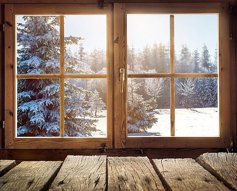 Transparent wood is coming, and it could make an energy-efficient alternative to glass
