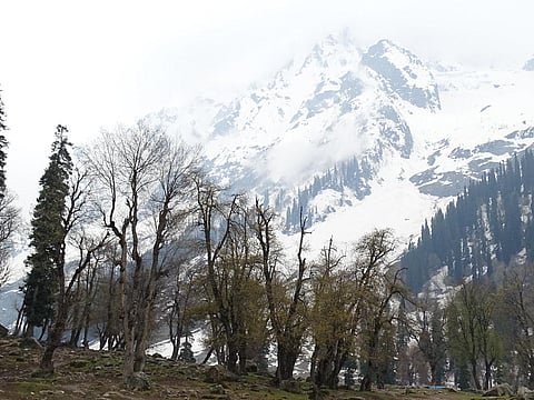 Warmer winters in India: La Nina events may be getting hotter than El Nino, say experts