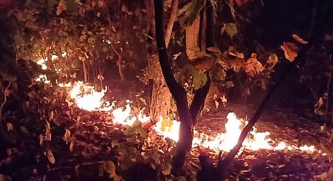 A burning forest in Similipal Tiger Reserve. Photo: Ashis Senapati