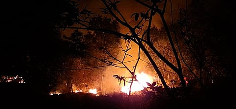 A burning Similipal. Photo from the twitter account of Akshita M. Bhanj Deo
@TheGreatAshB, a member of the erstwhile royal family of Mayurbhanj