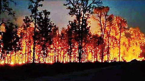 Similipal fire shines light on dark hole in India’s real-time air quality monitoring network