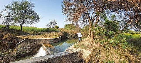 This check dam at Himmatpura village in Jalaun, Uttar Pradesh, helps irrigate farms spread over 30 hectares (Potographs: Bhagirath)