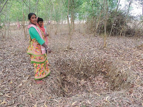 A hapa helps catch and harvest water. One can be seen at Birbandh village in West Bengal’s Bankura district, where the water table rose by 1.7 m in 2018-20 (Photograph:Jayanta Basu)