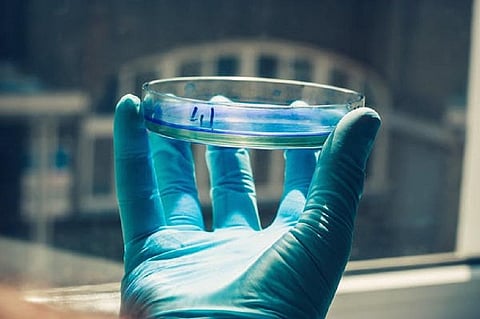 We grew human tear glands in the lab, and now we’re making them cry