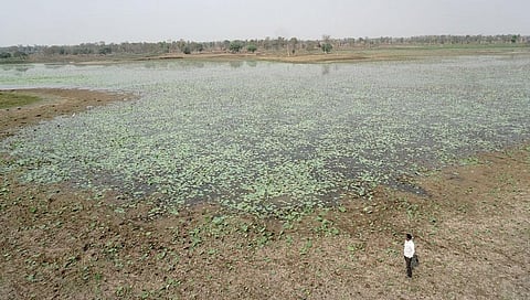 World water day: How a village in Maharastra turned a dying lake into a birding paradise