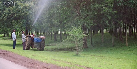 Overuse of pesticides might tip the balance, destabilise ecosystems and degrade the quality of water sources that humans and animals rely on to survive, the study said. Photo: Ruksan Bose / CSE