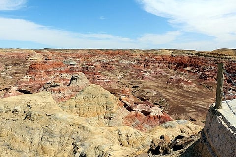‘No country can control the entire critical mineral value chain’