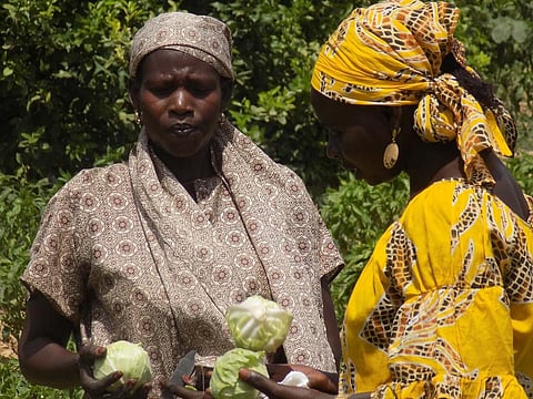 Half the women in sub-Saharan Africa don’t have any say on health, contraception: UN report