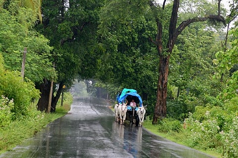 India to have ‘normal’ monsoon in 2021, predicts IMD