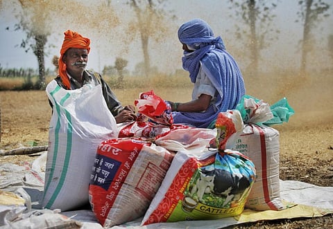 60% wheat remains ‘unlifted’ from Punjab mandis