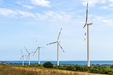 Renewable energy in India: Capacity addition halved in 2020