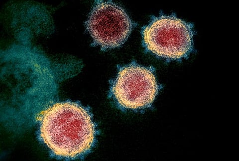 COVID-19: Beware of ‘Mexican variant’